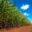 Barry Callebaut: Using supply chain finance to meet sustainability targets